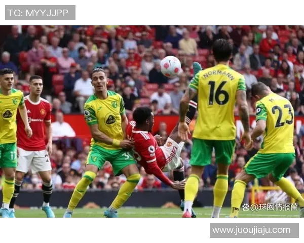 足球明星拼图直播视频带你领略球场背后的精彩瞬间与故事