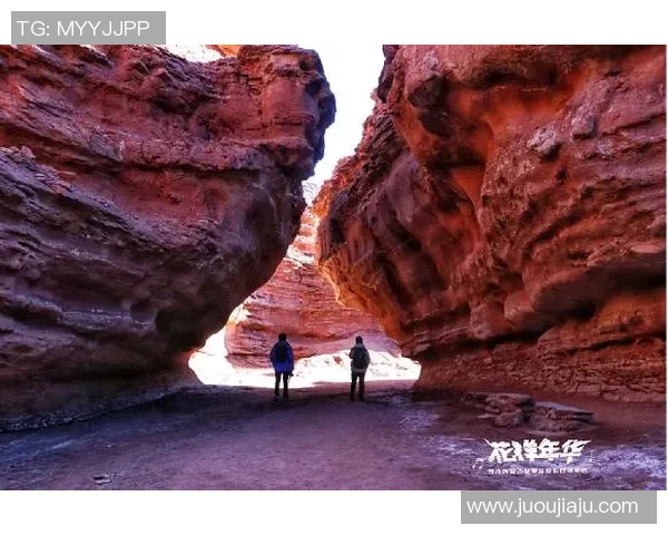 足球明星的辉煌历程与背后故事探秘之旅